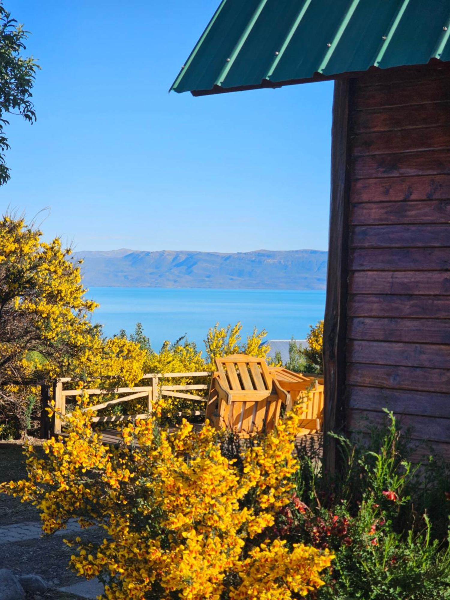 Brillos Patagónicos El Calafate Exterior foto